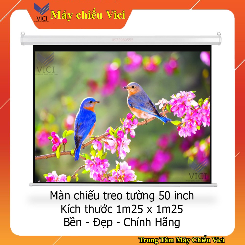 Màn chiếu treo tường 70 inch . màn chiếu treotường kéo tay hãng dalite bền đẹp, chống mốc