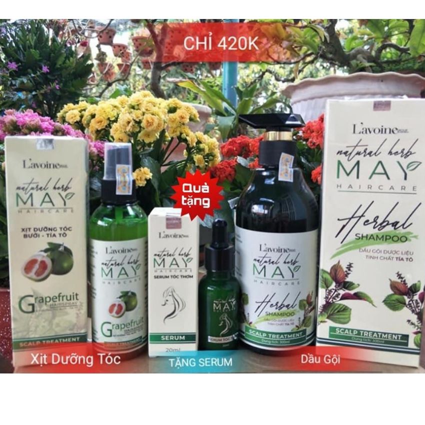 COMBO GỘI XẢ MAY - TINH CHẤT TÍA TÔ - LAVOINE