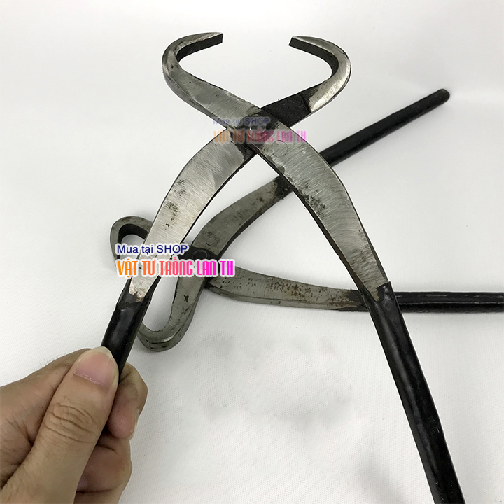 Kìm cạp tròn móc sẹo bonsai thép rèn