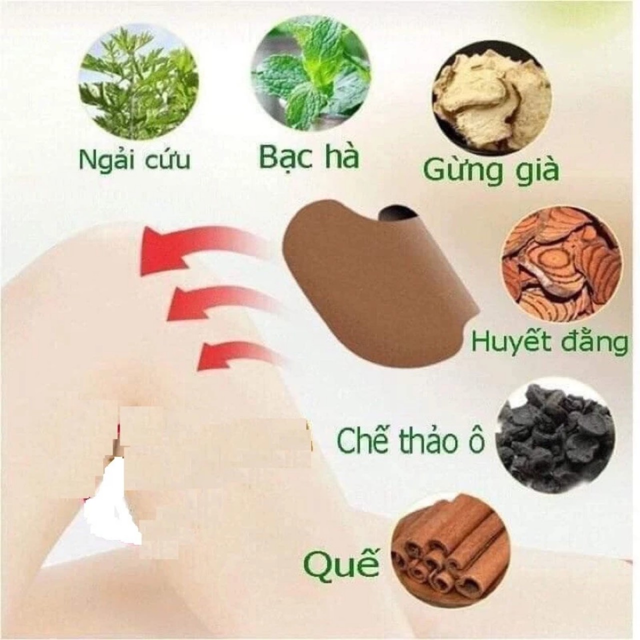 [ Mua 3 tặng 1 ] Cao dán thảo dược Cụ Tòng hỗ trợ giảm đau xương khớp, thoái hóa, thoát vị đĩa đệm, 