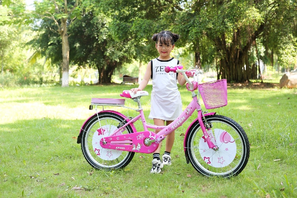 Thanh lý xe đạp cho bé 25 tuổi Bridgestone của Nhật  chodocucom