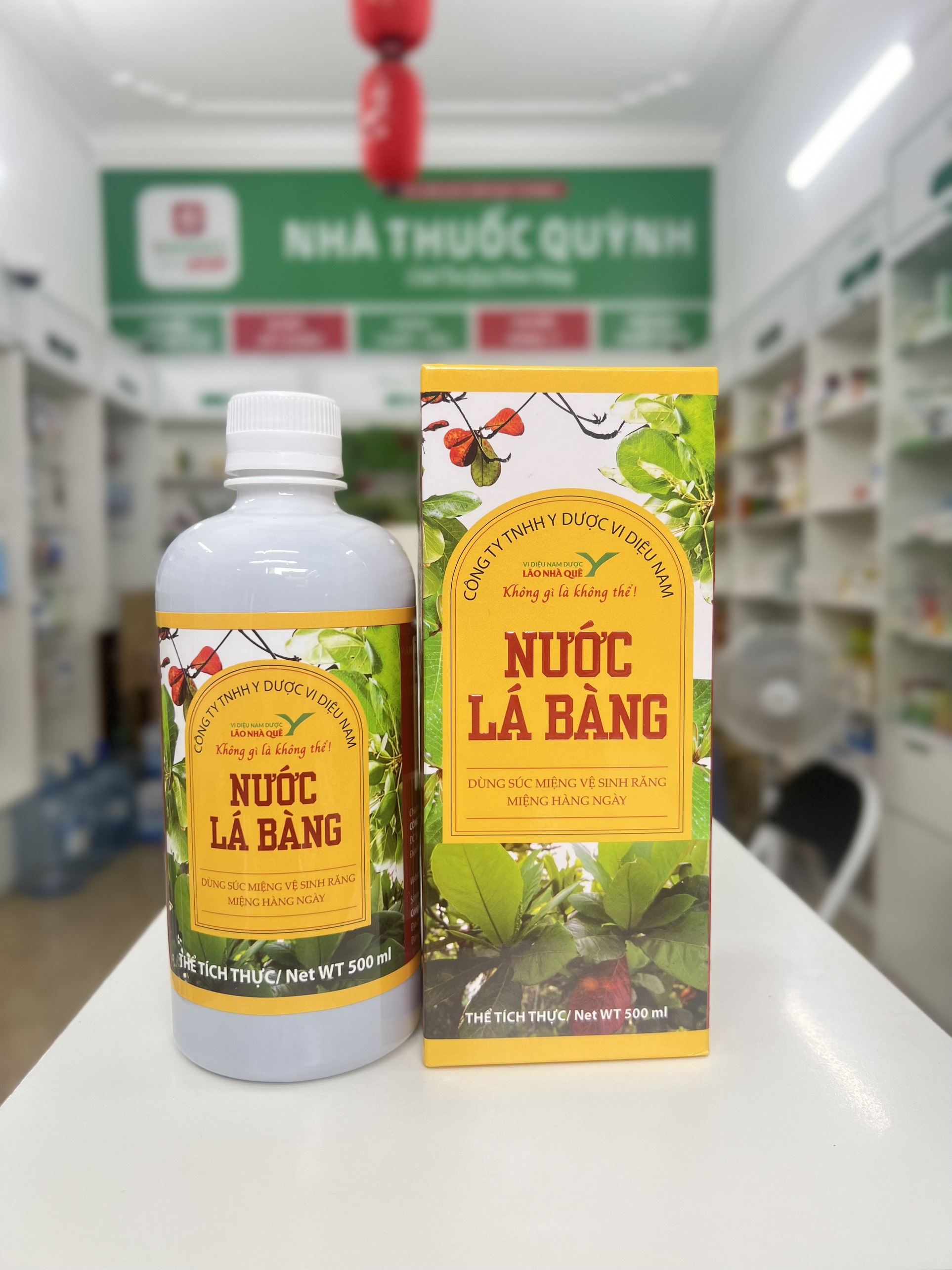 Nước Lá Bàng - hỗ trợ viêm phụ khoa, chân tay miệng, mụn nhọt...