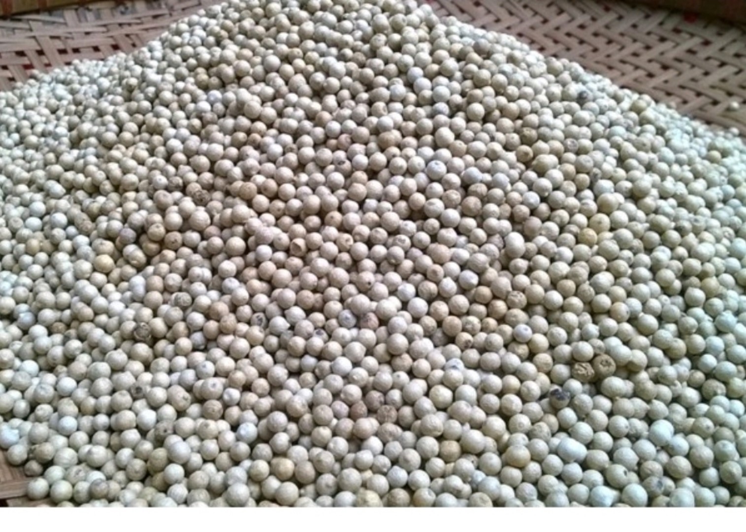 1kg tiêu sọ trắng Phú Quốc loại thơm ngon
