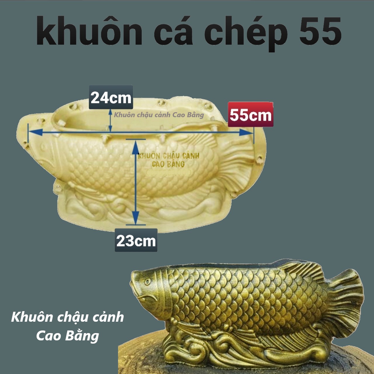 khuôn đúc chậu cảnh cá chép 55 (khuôn ABS có lòng trong)