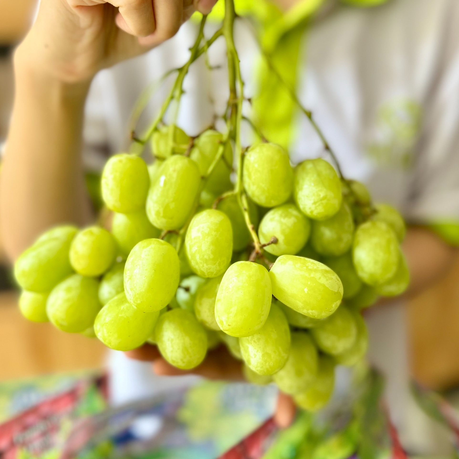 Vg farm nho xanh mỹ - ngon giòn ngọt