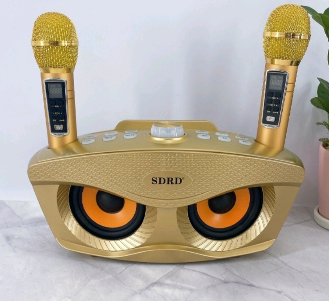 Loa Bluetooth Karaoke SDRD 306- Loa bluetooth- Loa karaoke 306 tặng kèm 2 míc- Chất lượng Âm Thanh tuyệt hay