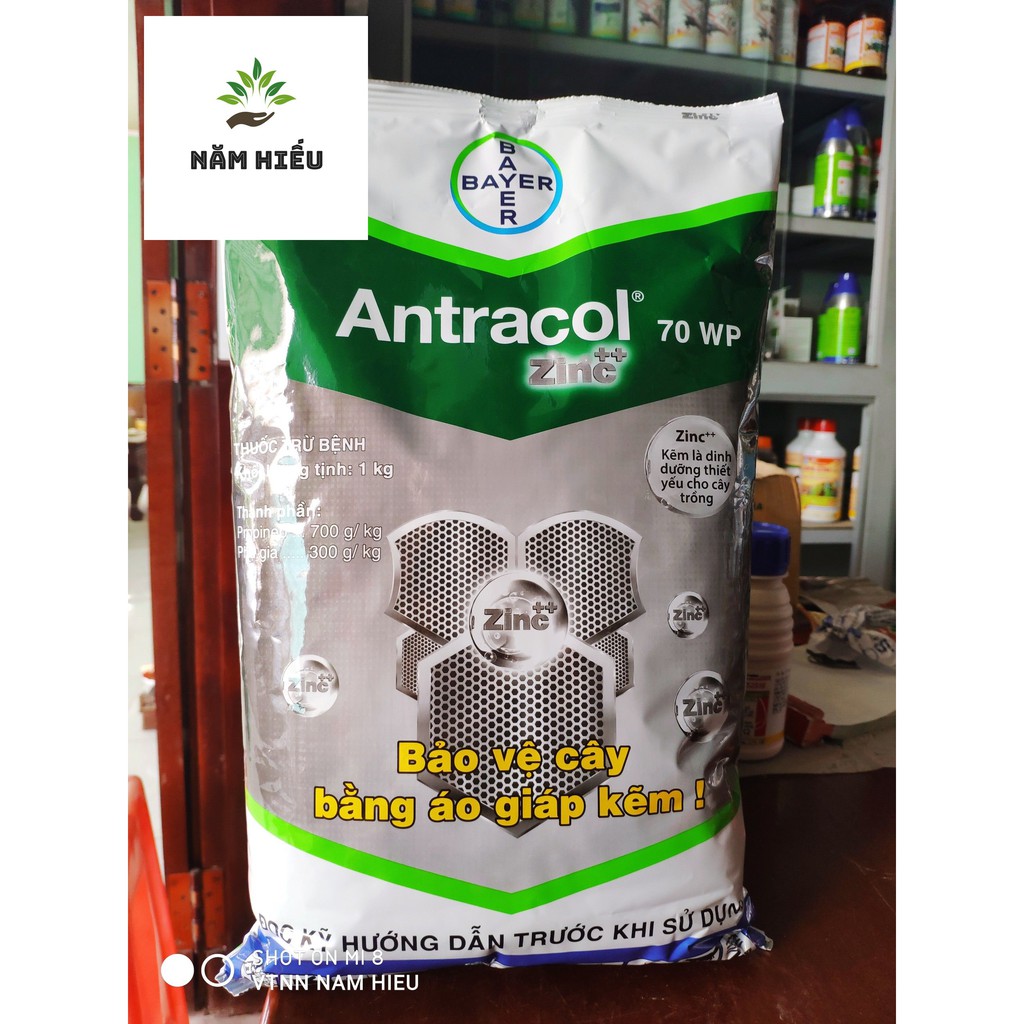 Thuốc trừ bệnh antracol 70wp - 1kg - trừ nấm bệnh cây trồng