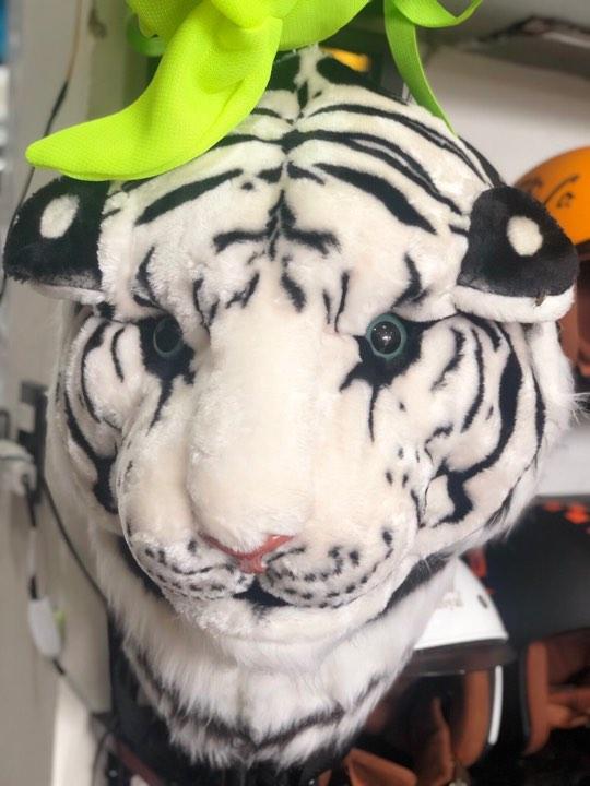 Balo đầu hổ cọp trắng cỡ lớn