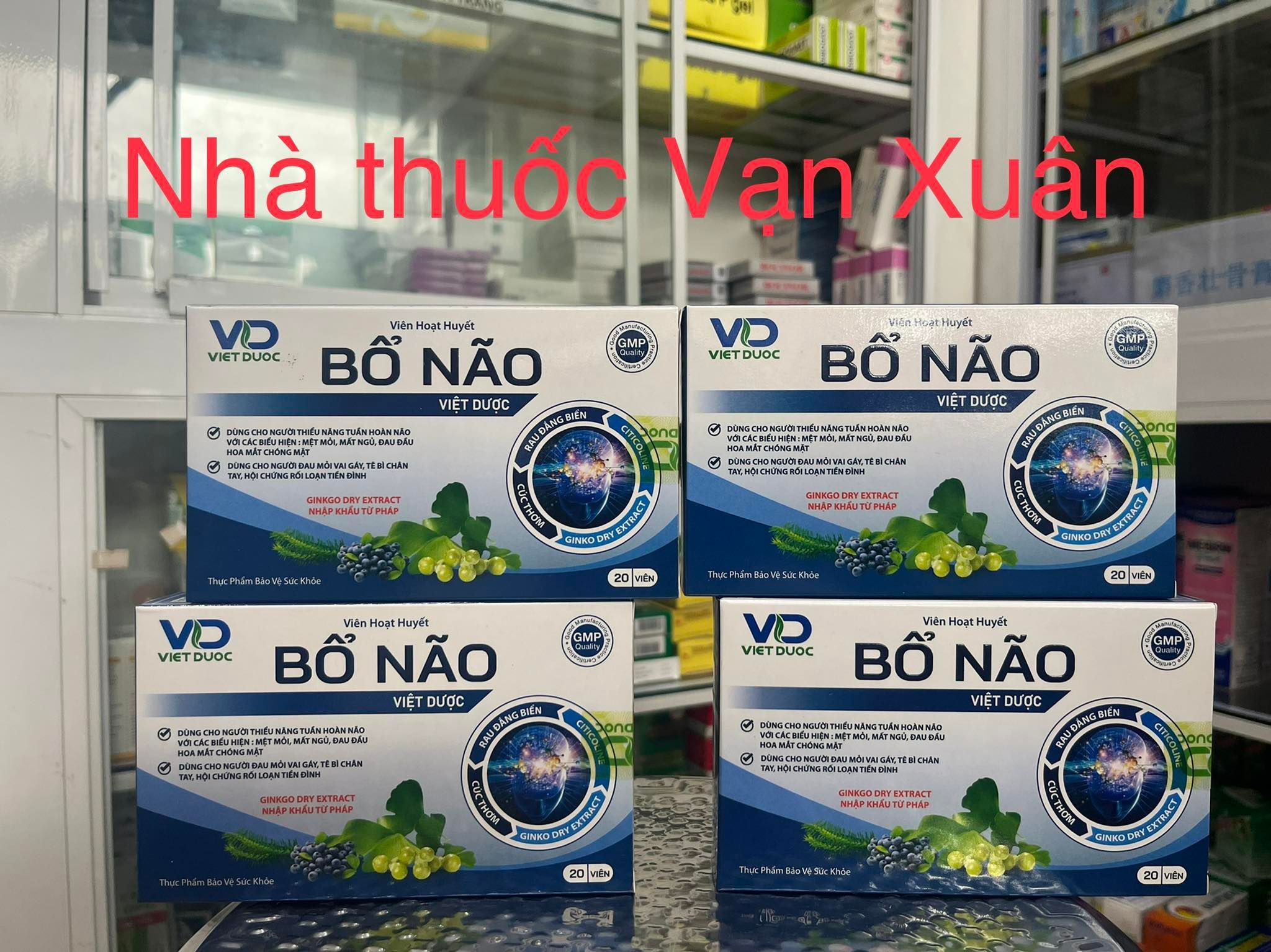 Viên hoạt huyết bổ não việt dược