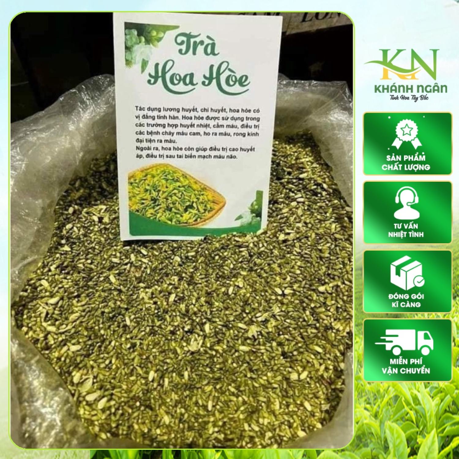 Trà nụ hoa hoè Thái Bình phơi sấy khô, sao vàng loại 1 . Nụ hoa hoè giúp thanh nhiệt, giảm mỡ máu, ổn định huyết áp