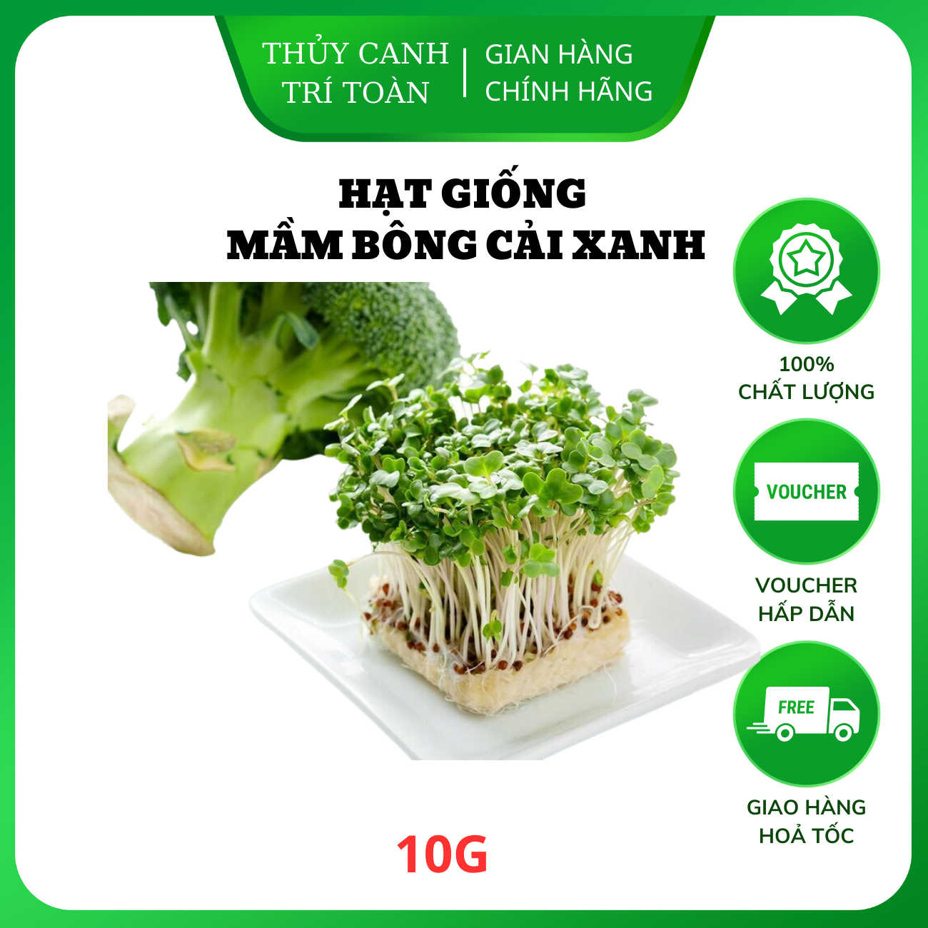Hạt giống Mầm Bông Cải Xanh dễ trồng, nhanh thu hoạch, giàu dinh dưỡng - Hạt giống Rạng Đông