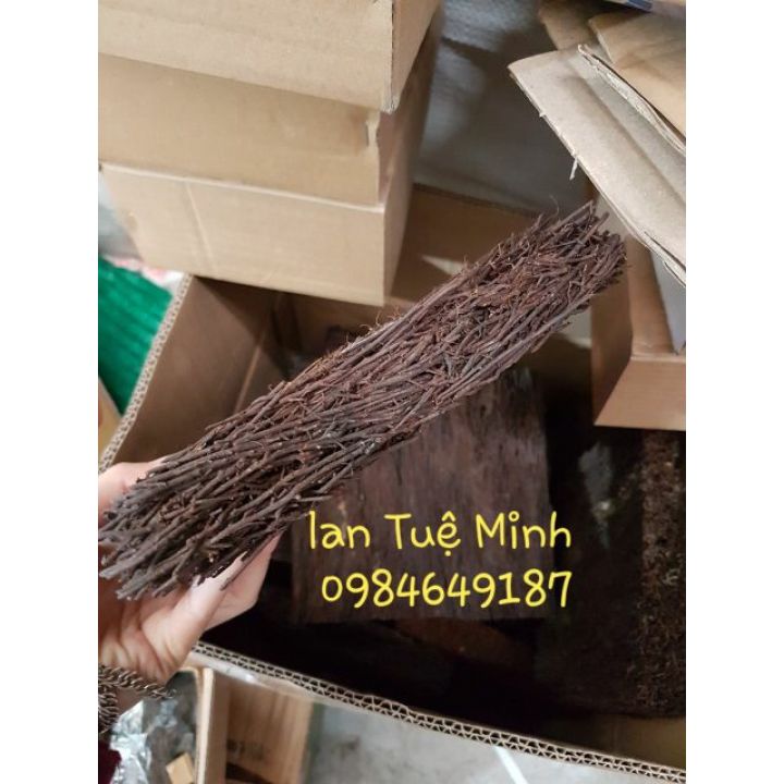 Bảng dớn trồng lan size 15x20x3 cm