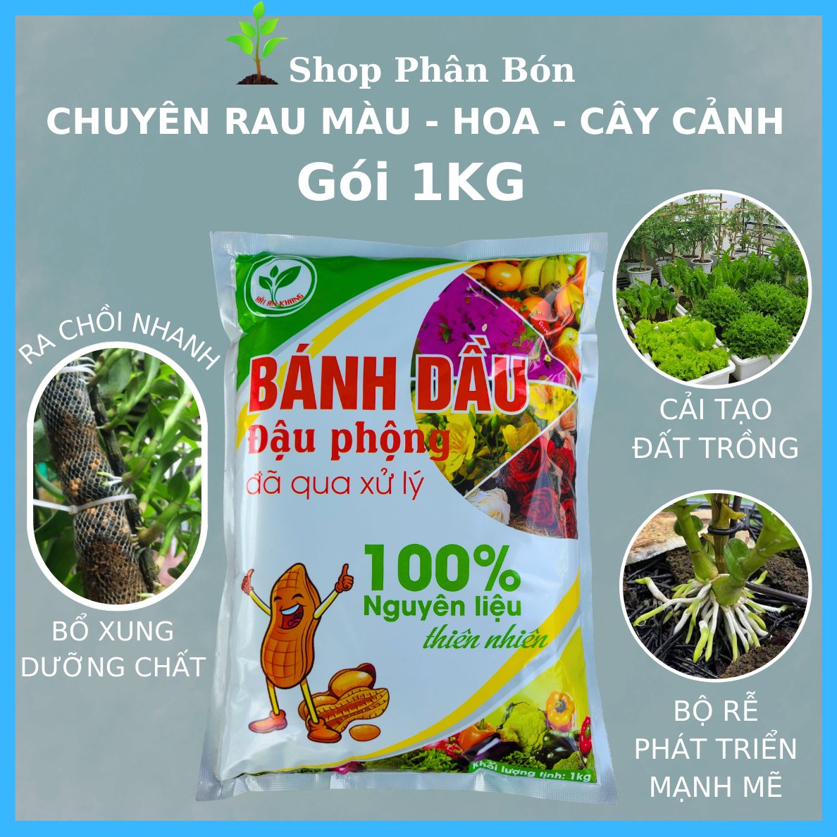 Phân bón bánh dầu đậu phộng nguyên chất cho mọi cây trồng và rau sạch