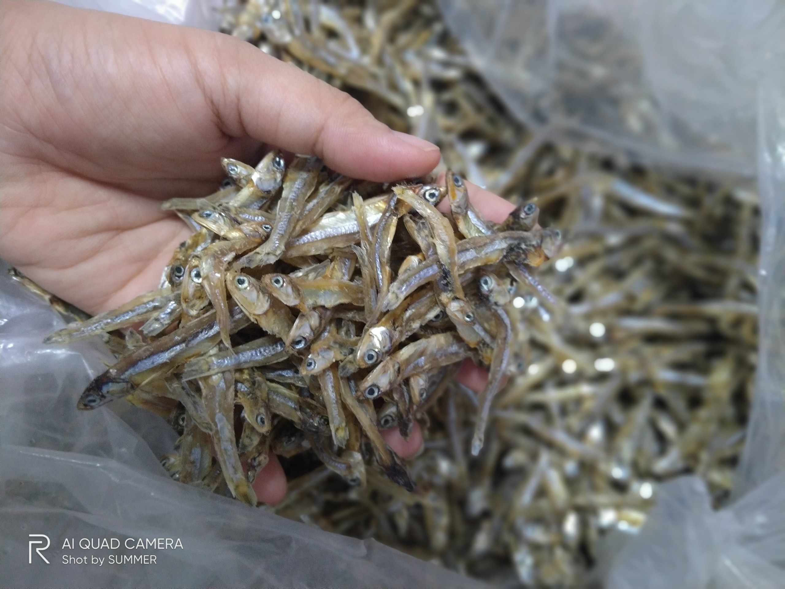 1KG Khô Cá Cơm Sạch Cát Tươi ngon từ biển vũng tàu