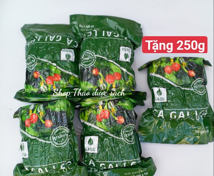 Tặng 250g khi mua 1kg trà túi lọc cà gai leo Sadu
