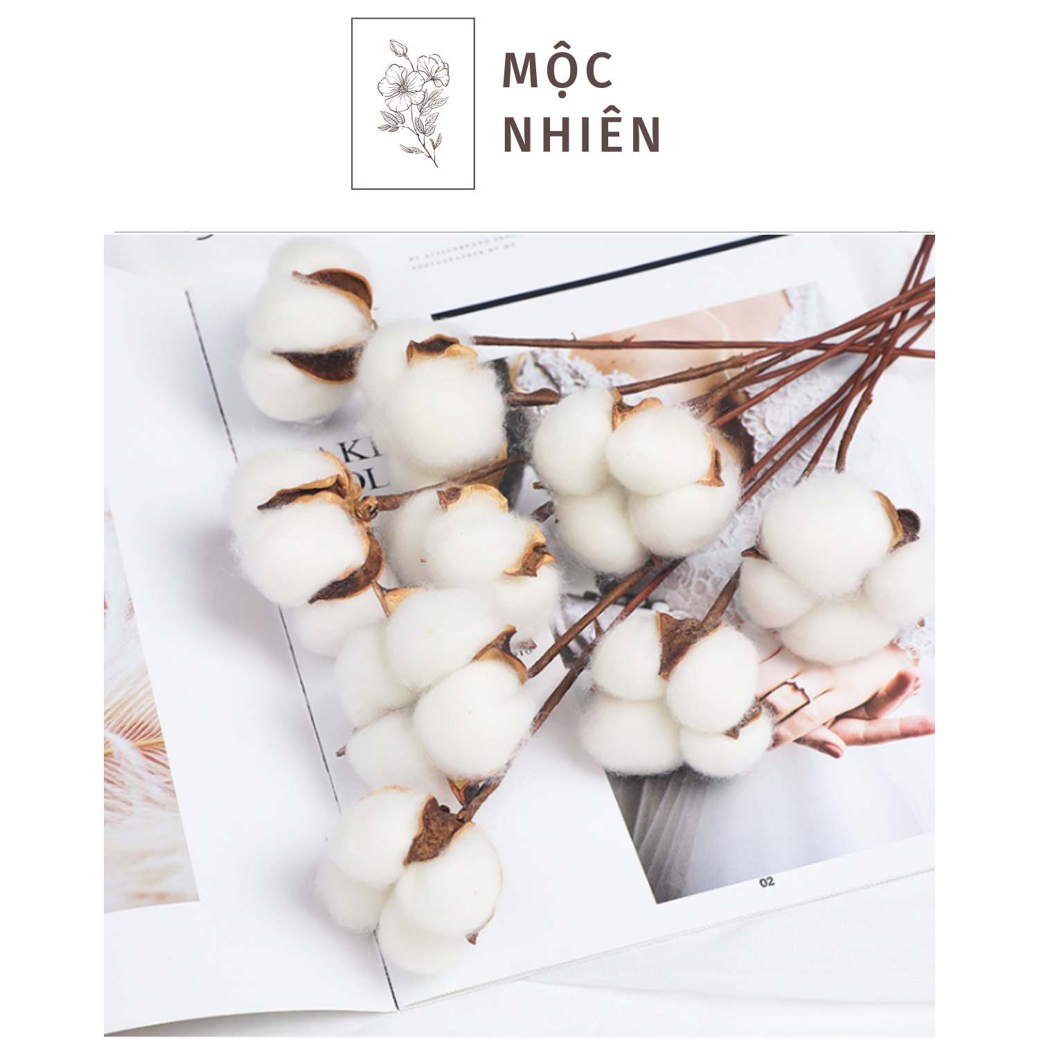 Hoa Bông Gòn 50cm Trang Trí - Phụ Kiện Chụp Ảnh - Decor Phòng Ngủ - Hoa Trang Trí - Trang Trí Mộc Nhiên