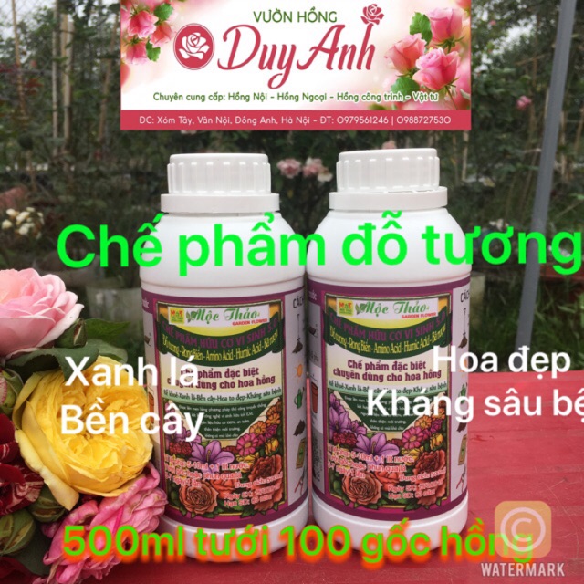 Phân bón hoa hồng- chế phẩm hữu cơ vi sinh Đỗ tương (Chai 500ml) Lá Bền Cây Hoa Đẹp Kháng Sâu Bệnh Chai 500ml