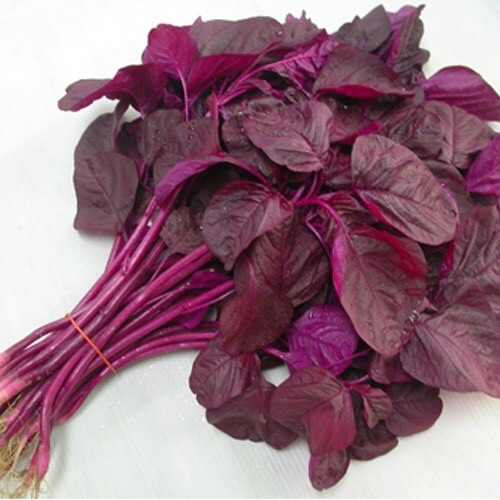 Hạt giống rau dền đỏ lá tròn 20gram