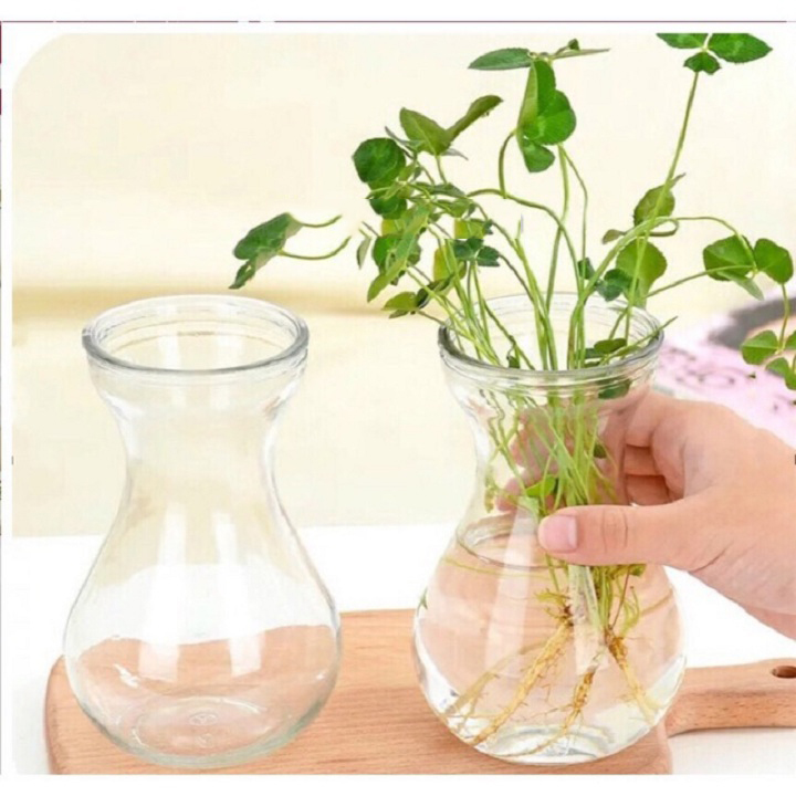 [HCM]Bình Bông Thủy Tinh Miệng Lòe Cắm Hoa  Trồng Cây Thủy Sinh  Tươi Mát Để Bàn Làm Việc Phòng Khách vv