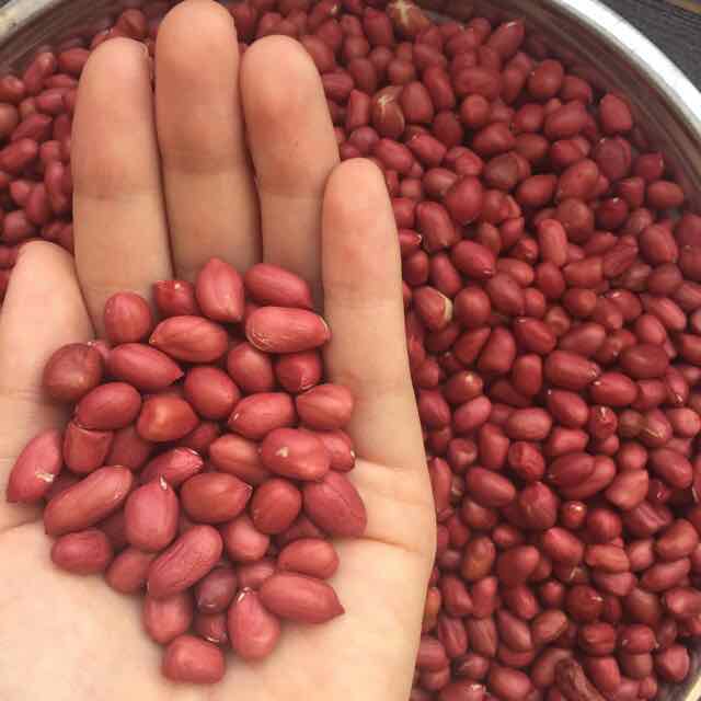 Đậu phộng đỏ 500gr