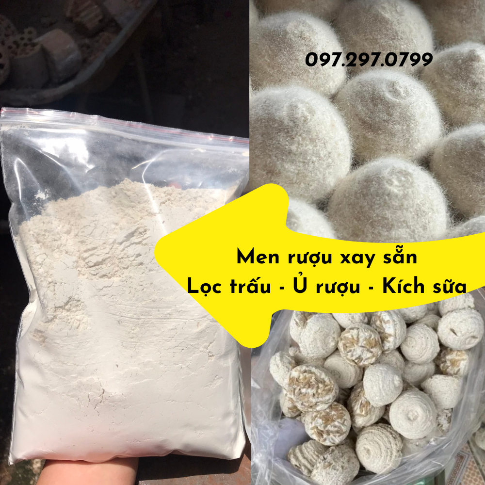 Men trấu truyền thống của Việt Nam, men làm rượu gạo, men làm rượu nếp, men làm cơm rượu và các sản phẩm lên men khác dùng trong nấu ăn và còn dùng để đắp ngực cho bà mẹ sau khi sinh con để kích thích tiết sữa.