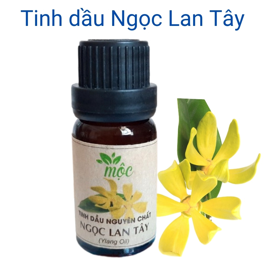 Tinh dầu thơm xông phòng phòng Ngọc Lan Tây kháng khuẩn khử mùi đuổi muỗi xông phòng giúp thư thái tinh thần, lọ 10ml