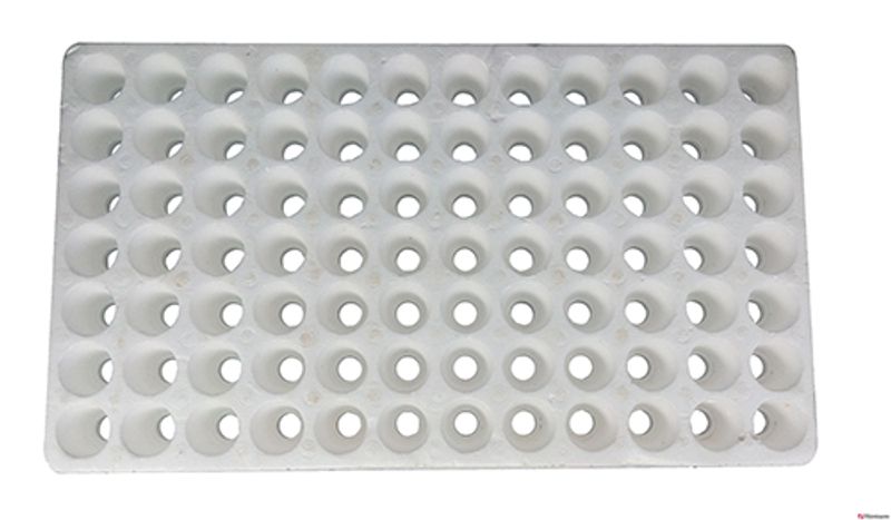 Khay xốp 84 lỗ ươm hạt