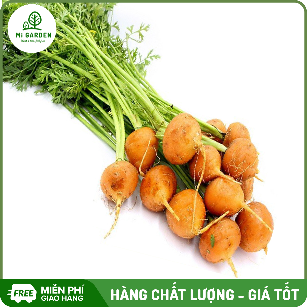 Hạt giống Cà rốt baby củ tròn Mi Garden, ăn ngon ngọt, hạt giống dễ trồng, dễ chăm sóc