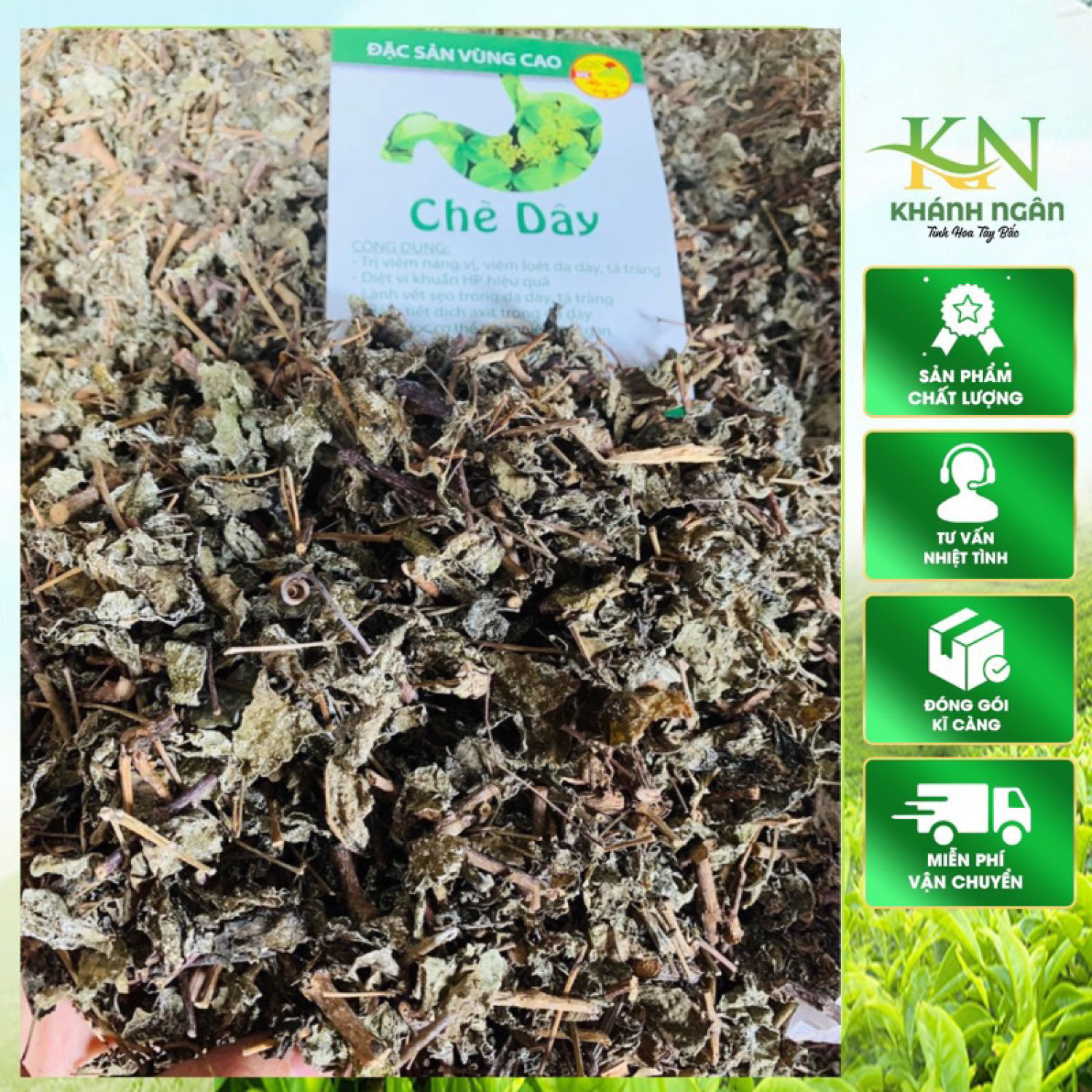 Chè dây Cao Bằng tốt cho dạ dày loại 1 - Thượng Hạng , Thảo dược quý, trà dây leo rừng Sapa - Hỗ trợ điều tɾị viêm dạ dày tá tràng, trào ngược dạ dày thực quản