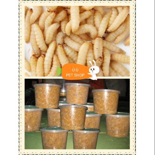 Sâu mật ong đóng hộp