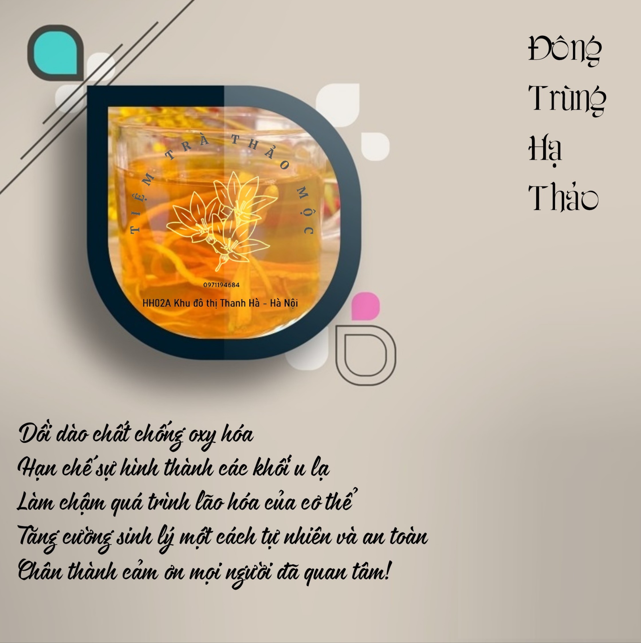 Đông Trùng Hạ Thảo