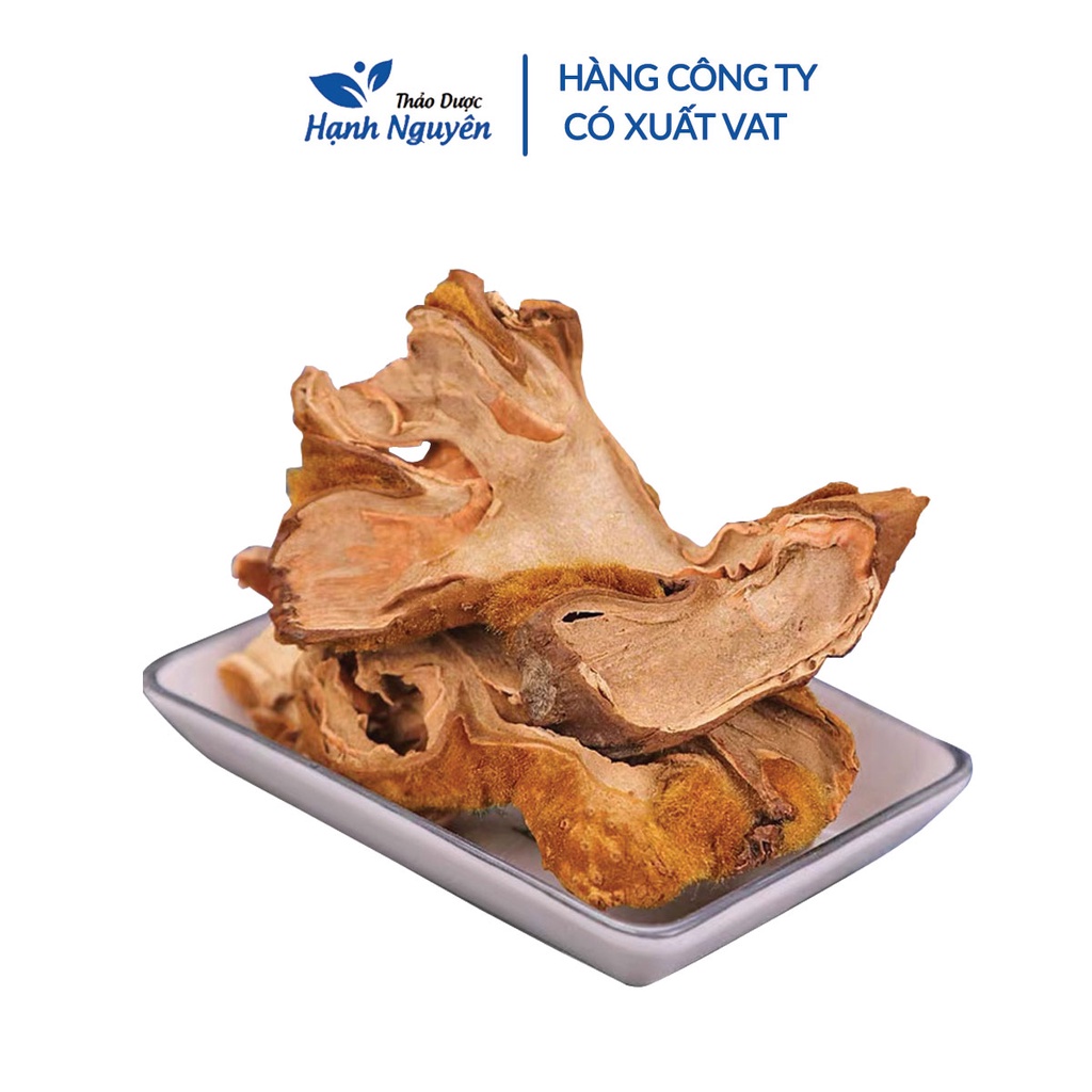 Cẩu tích chưa chế 100g - Thảo Dược Hạnh Nguyên