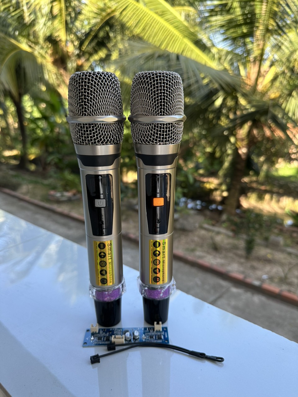 Micro không dây loa kéo UGX9