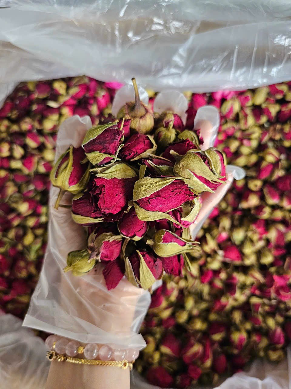 Nụ hồng đà lạt sấy lạnh 100g