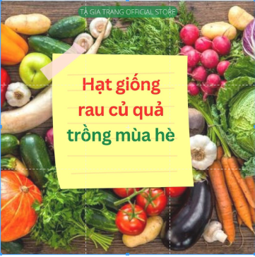 Hạt giống các loại rau củ quả trồng mùa hè