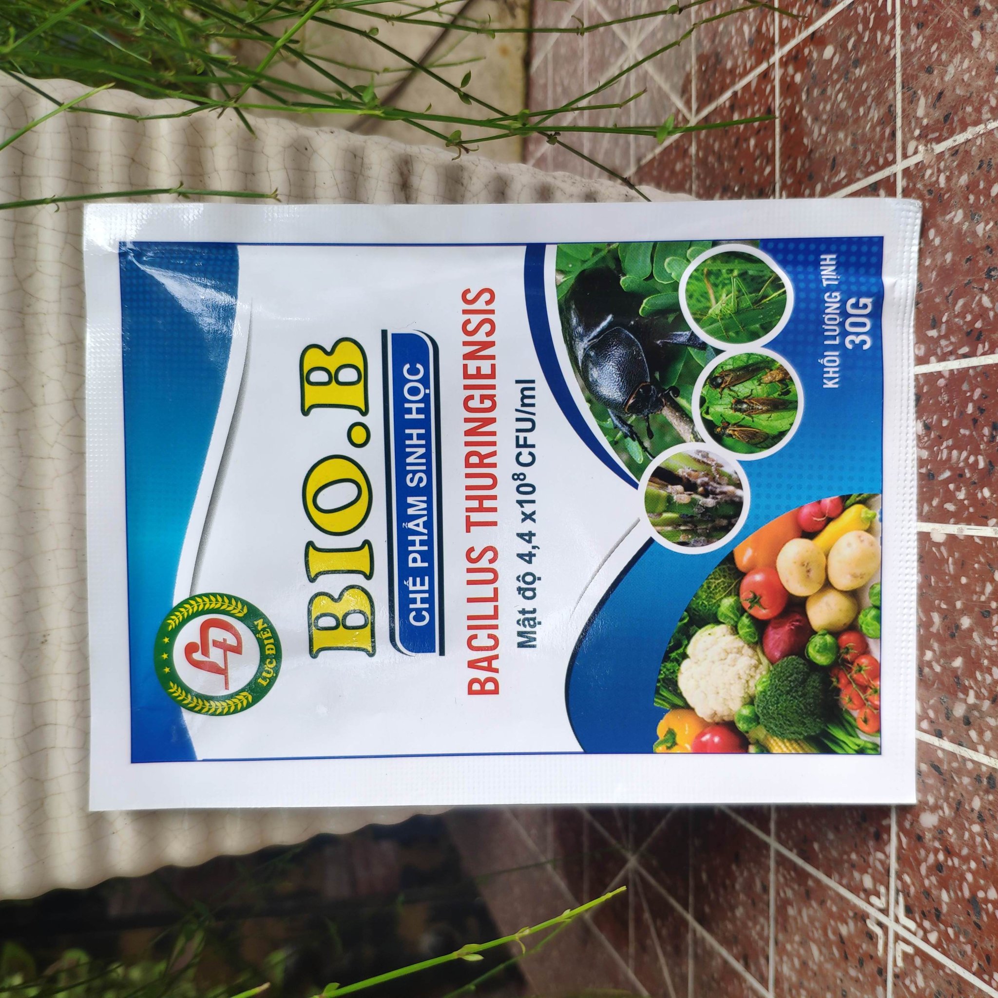 [HCM]Chế phẩm BioB phòng trừ côn trùng gây hại diệt rệp sáp nhện