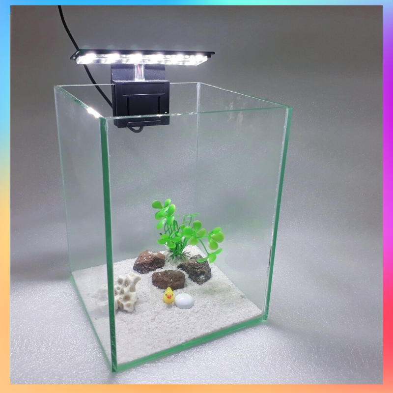 Bể cá mini để bàn 15x15x20cm + đèn
