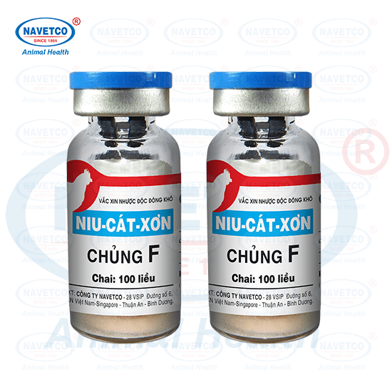[ Hàng Chính Hãng] Vacin- Chủng F ngừa Newcastle [100 con]