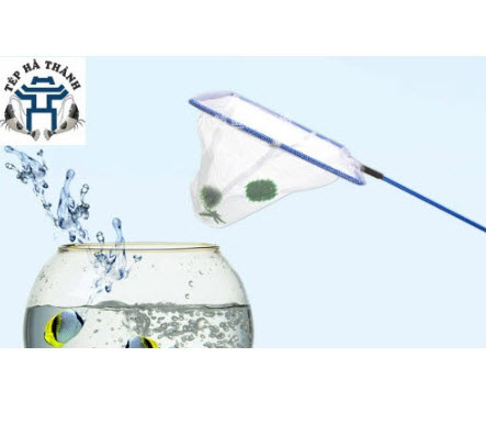 Vợt bắt cá tép số 5