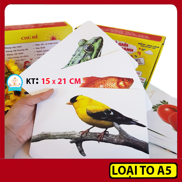 Bộ Thẻ Học Flashcard Thông Minh Song Ngữ Loại To 15 x 21 cm/ Đồ Chơi Giáo Dục Cho Bé