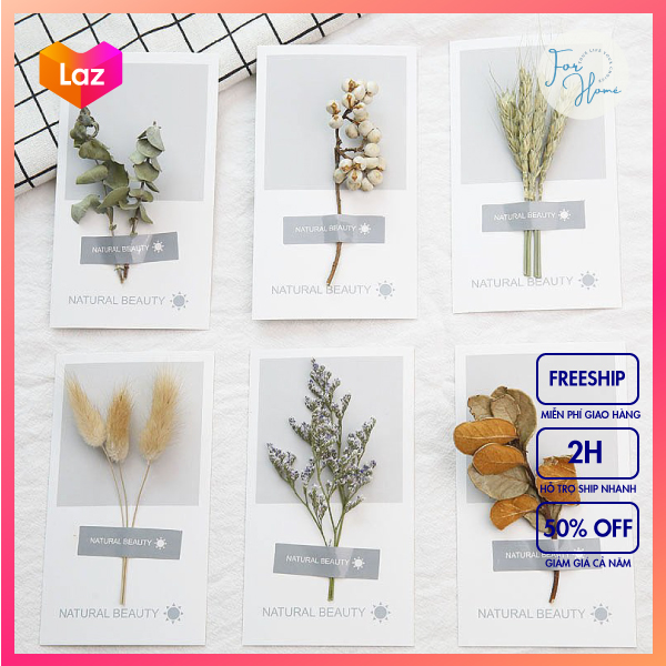 ⚡Thiệp Hoa Khô⚡ Thiệp Handmade Phong Cách Vintage, Quà Tặng Xinh Xắn