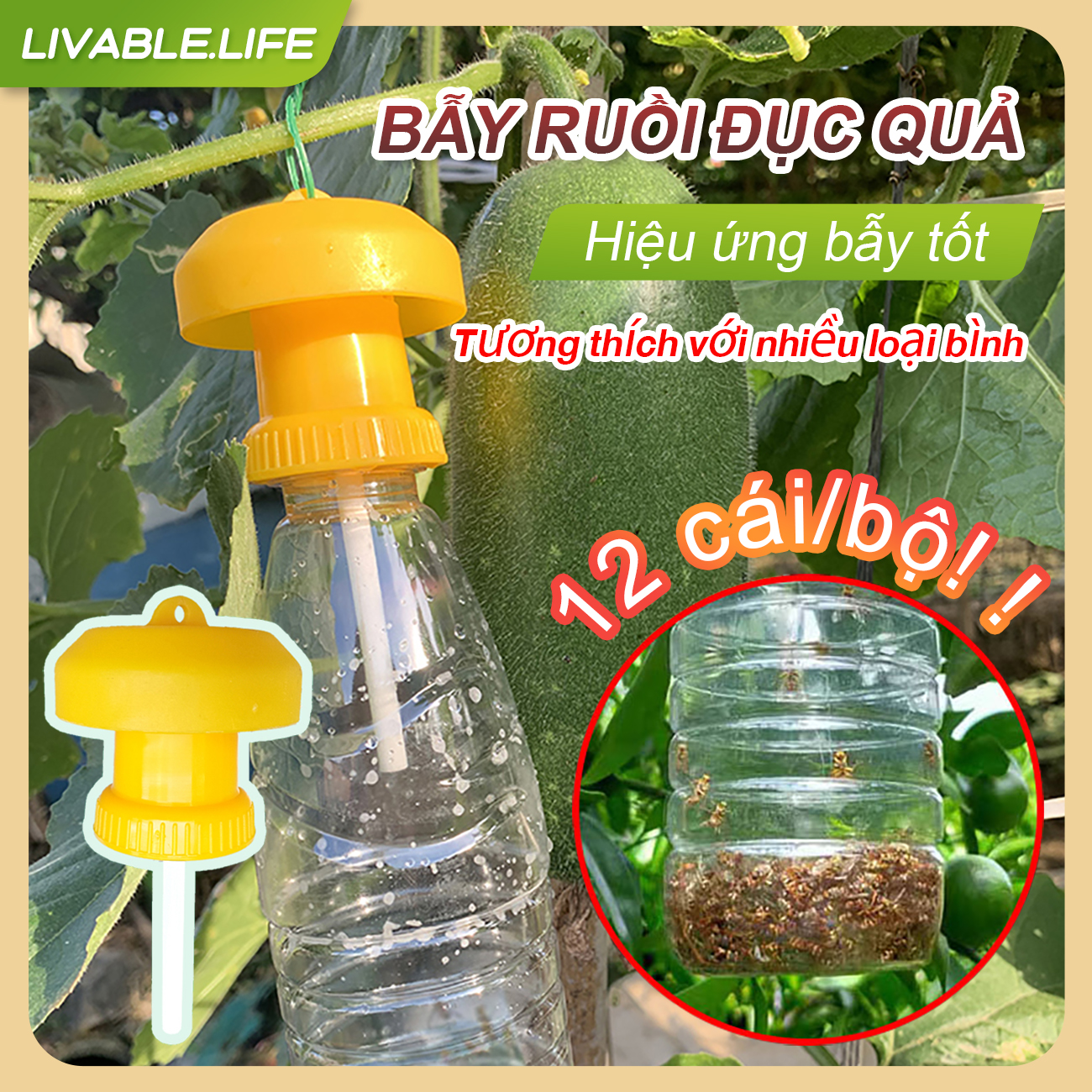 Bẫy ruồi vàng hại trái cây thế hệ mới,12 món / bộ, Hiệu quả, tiết kiệm chi phí, siêu bền Hộp Bẫy Ruồi Bằng Nhựa