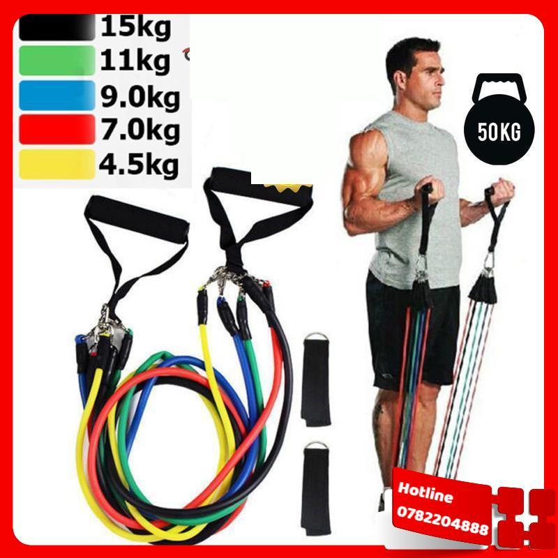 Bộ dây ngũ sắc đàn hồi kháng lực – dụng cụ tập thể dục đa năng – dụng cụ tập gym, thể hình tại nhà - loại tốt