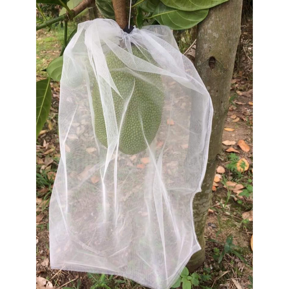 3,x00₫ [50*70cm] 100 TÚI BỌC MÍT THÁI LƯỚI TỐT 50*70 -TÚI BỌC TRÁI CÂY