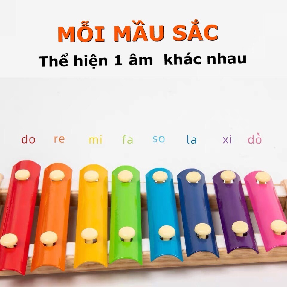Đồ Chơi Trẻ Em Đàn Xylophone 8 Âm Bằng Gỗ Phát Triển Trí Não Và Cảm Quan Cho Bé Gái Và Trai Từ 1 Tuổi Trở Lên. 3