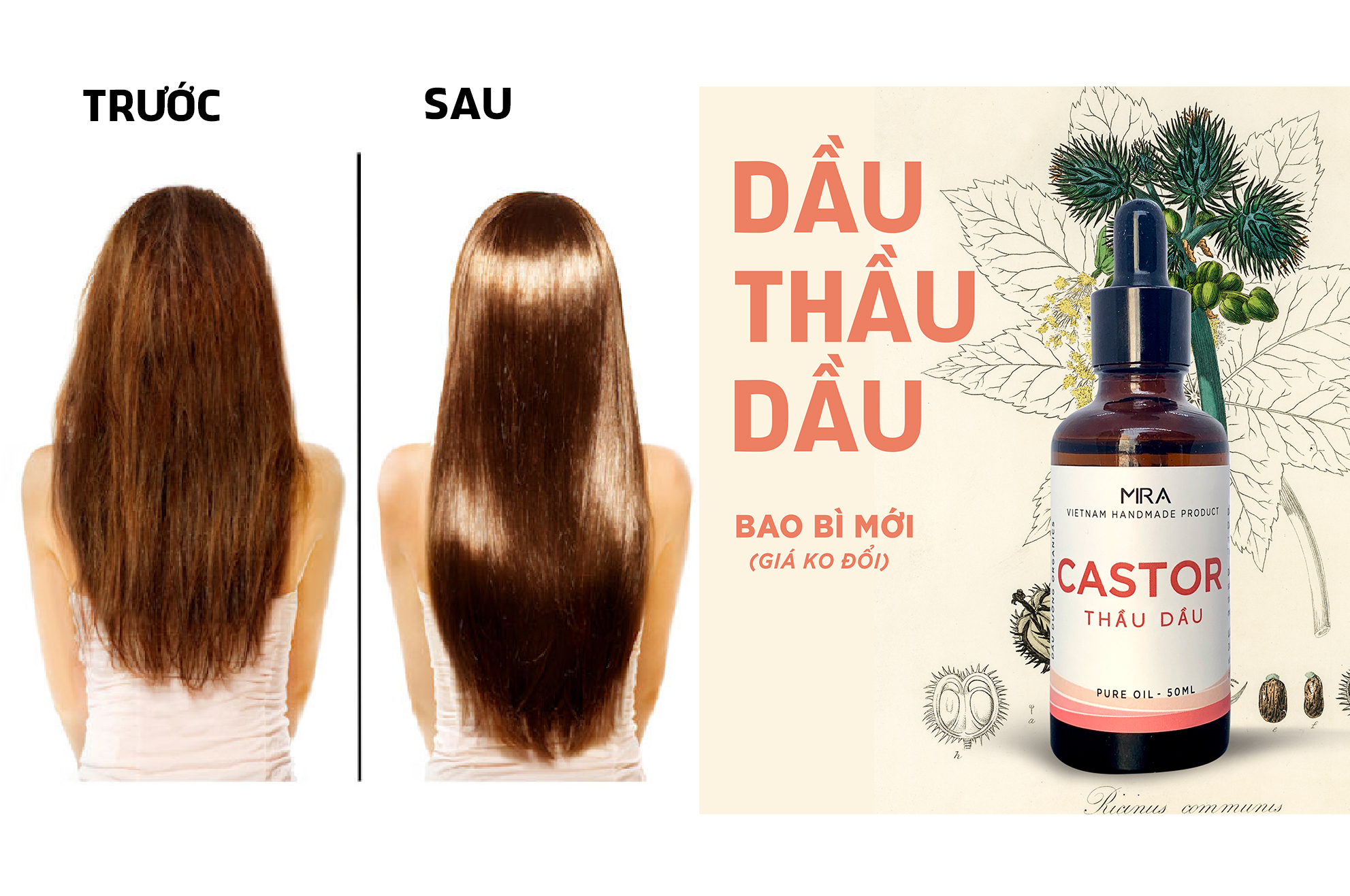 Dầu Thầu Dầu Castor Oil Ủ Tóc dưỡng tóc mọc tóc - miracare