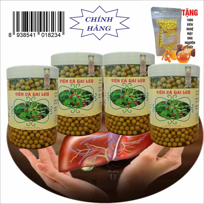 2KG (4 hộp) Viên Cà Gai Leo giải độc gan - Tặng 100G Viên nghệ mật ong