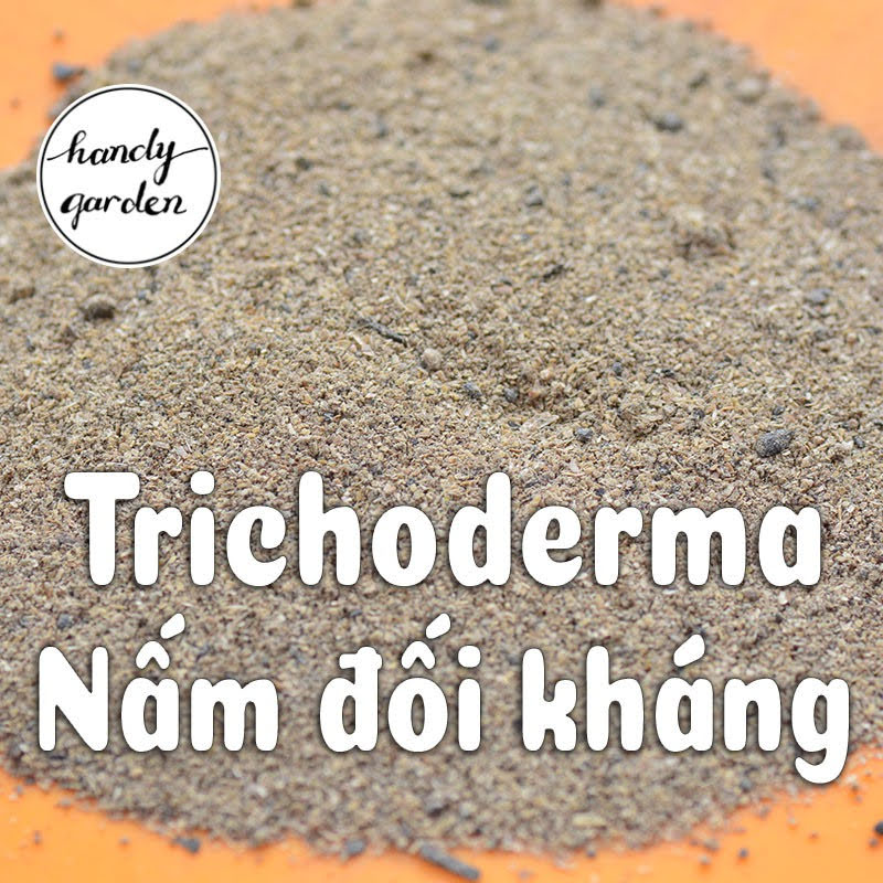 Trichoderma Điền Trang - phân bón men vi sinh nấm đối kháng - ngừa nấm bệnh sen đá | HandyGarden