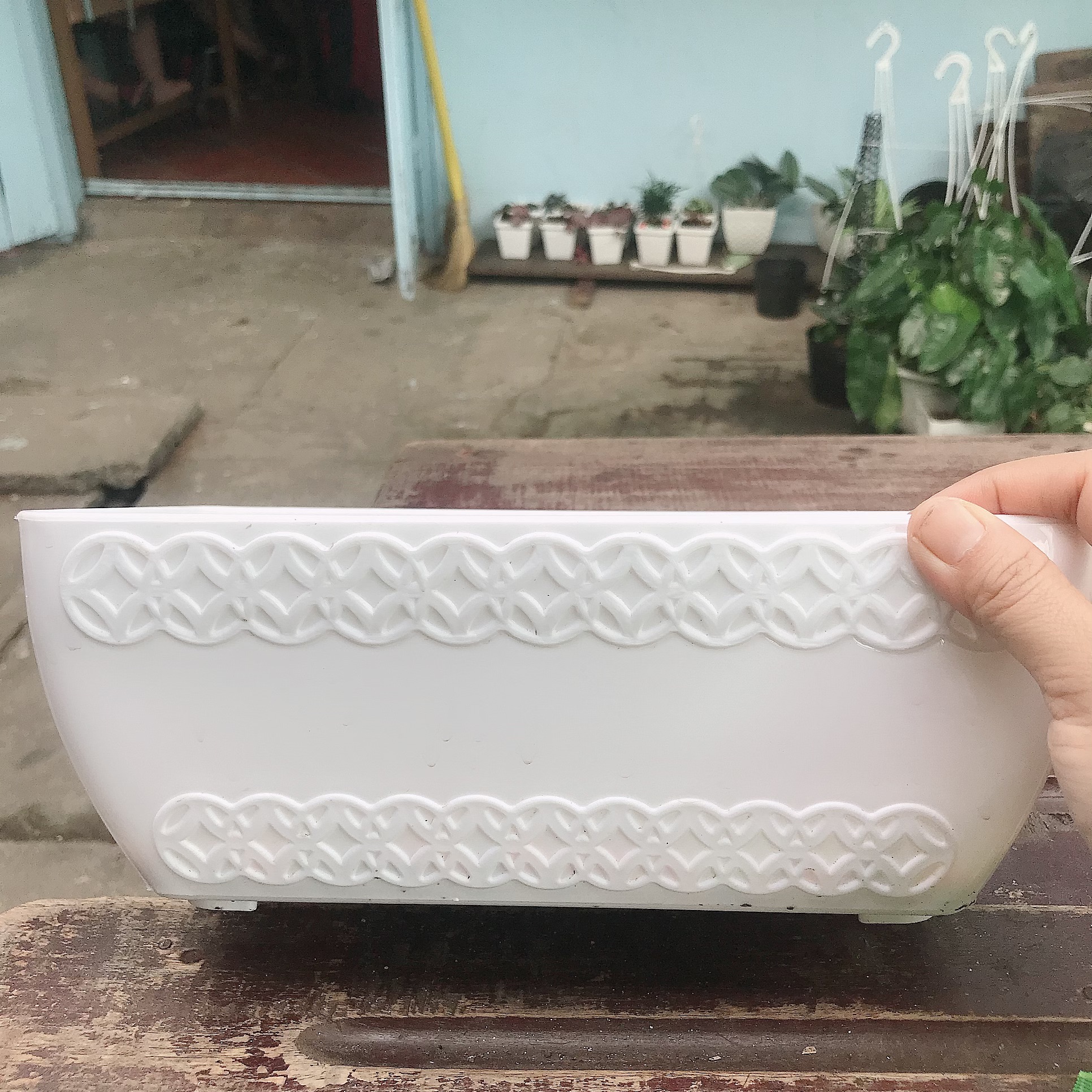 caykiengsadec - Chậu nhựa trắng kích thước 12cm x12cmx 25cm - hoa kiểng lá - trang trí nội thất