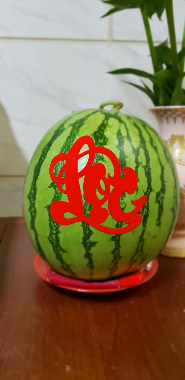 [HCM][HÀNG TẾT] CHỮ TÀI-LỘC-PHÁT-PHÚC DÁN TRÁI CÂY LỚN - QC215